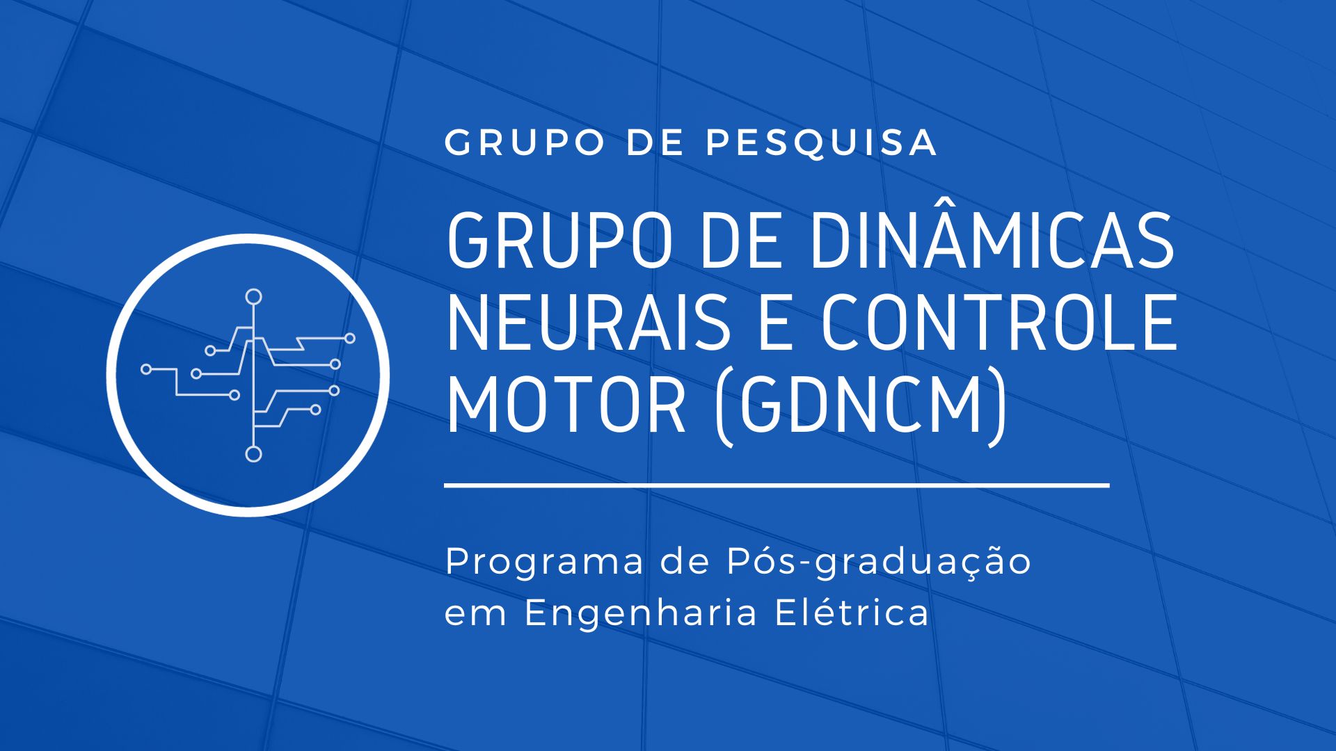 Grupo de Dinâmicas Neurais e Controle Motor (GDNCM)